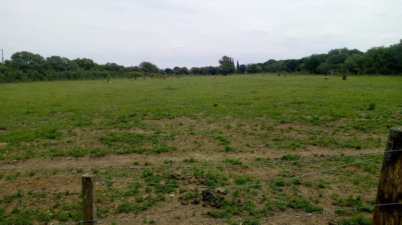 TERRENO EN VENTA EN UNQUILLO - Imagen 1